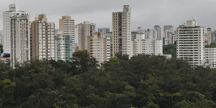 5 cidades com melhor qualidade de vida no Brasil