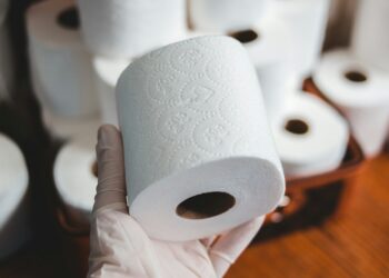 O que era usado no lugar do papel higiênico na História Antiga e Idade Média?