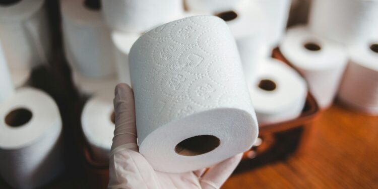 O que era usado no lugar do papel higiênico na história antiga e idade média?