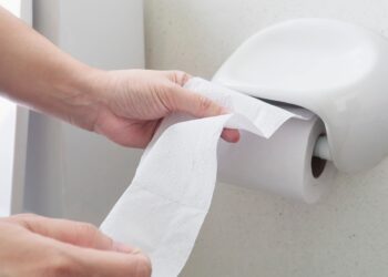 Por que o papel higiênico não deve ser jogado no vaso sanitário?