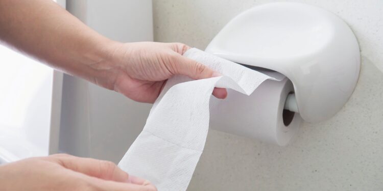 Por que o papel higiênico não deve ser jogado no vaso sanitário?