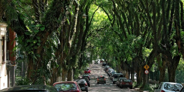 Rua mais bonita do mundo fica no Brasil e tem 156 árvores de enfeite