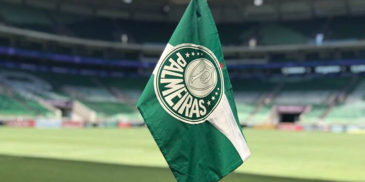 Palmeiras acerta contratação de destaque de time da Série B