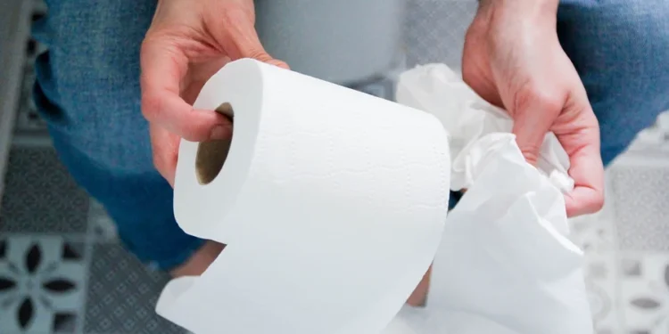 Por que o papel higiênico não deve ser jogado dentro do vaso?