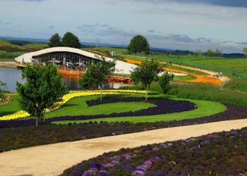 Maior parque de flores da América fica no Brasil e tem mais de 300 espécies plantadas