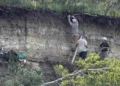 Após 11 mil anos, povoado “perdido” nas Américas foi encontrado por pesquisadores