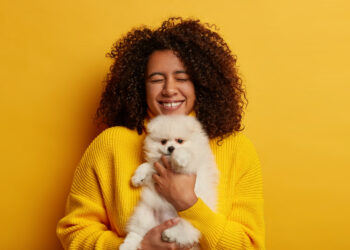 5 raças de cachorros mais calminhas para ter em casa