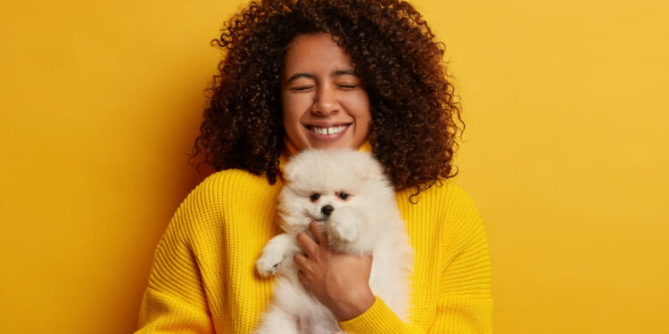 5 raças de cachorros mais calminhas para ter em casa