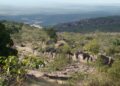 Floresta “escondida” dentro de uma cidade brasileira impressiona moradores