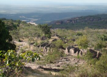Floresta “escondida” dentro de uma cidade brasileira impressiona moradores