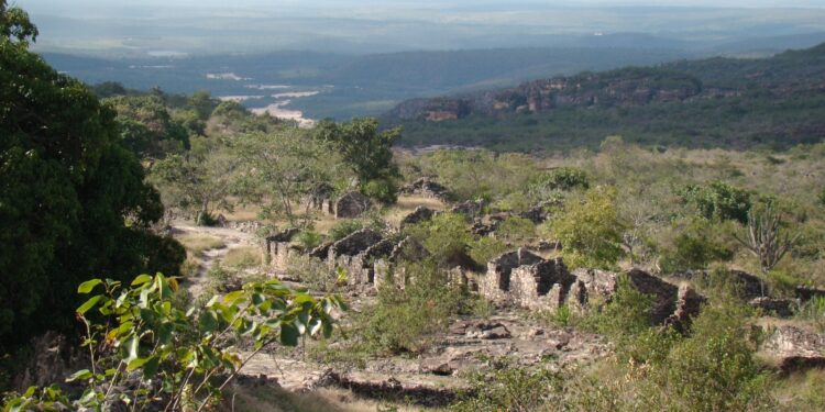 Floresta “escondida” dentro de uma cidade brasileira impressiona moradores