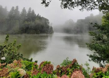 Melhor cidade do Brasil para visitar no inverno tem neve, clima gelado e paisagem europeia