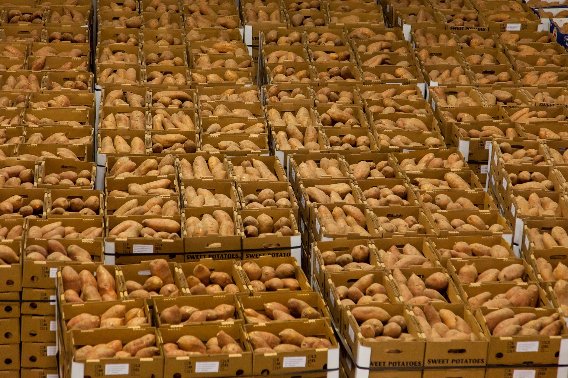 Superprodução deixou centenas de toneladas de batatas sem compradores e agricultores colocaram caixas gigantes nas ruas para moradores levarem de gr…