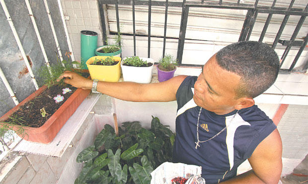 Ricardo Astrogildo, morador da Mangabeira, tomou providncias para evitar acmulo de gua em suas plantas