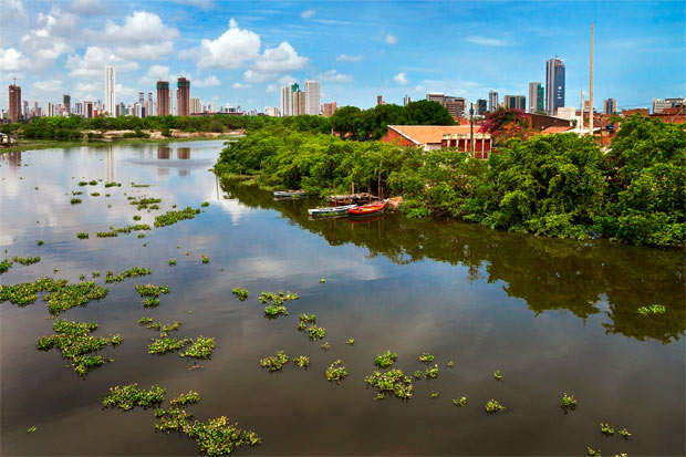 No terreno cedido pela prefeitura, onde o mangue definhava e cadveres eram "descartados", hoje estudam 385 crianas. Foto: O Norte Oficina de CriaoFoto