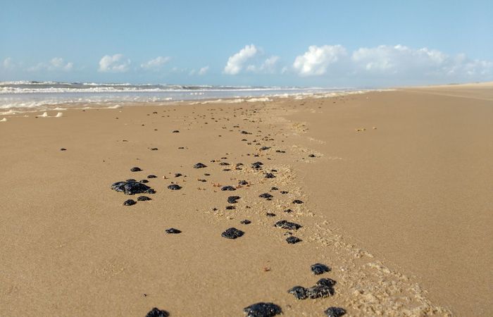 Turismo sente reflexos do óleo no Nordeste, mas impacto é menor