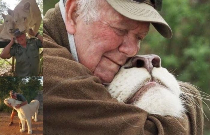 Dona de uma leoa branca atacada e morta durante uma caminhada com animais