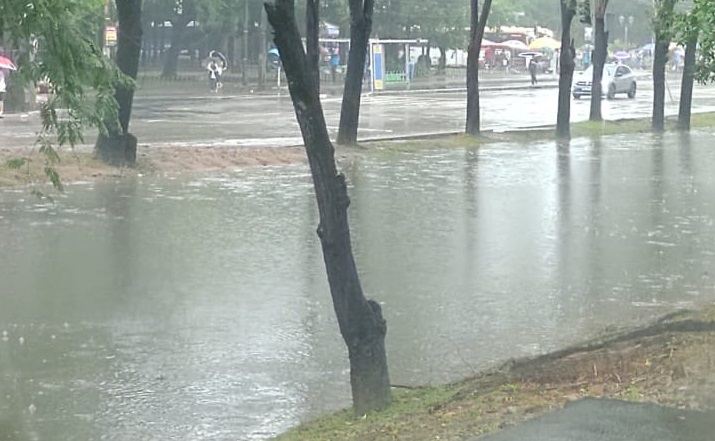 Chuva não atrapalha festa da torcida no Recife com a 2ª vitória do