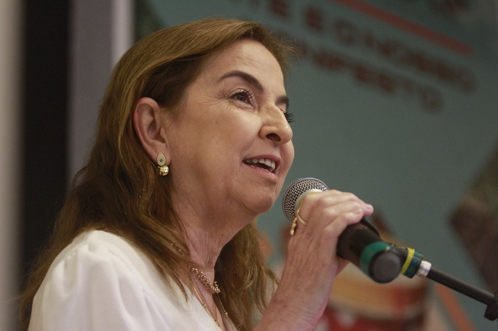 Mrcia Souto, coordenadora da Fenearte, exaltou a presena de pernambucanos envolvidos no evento (Rmulo Chico/DP Foto)