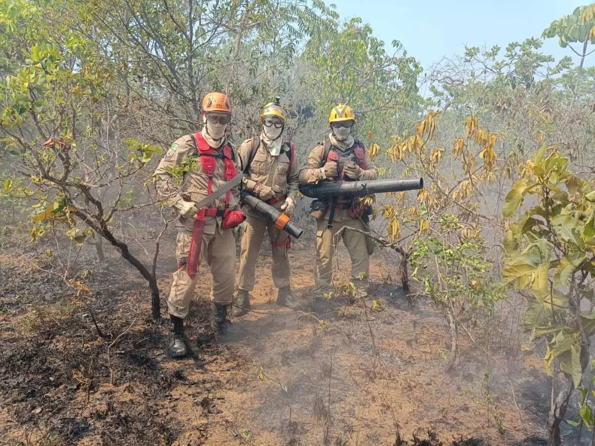 Chapada dos Veadeiros tem 10º dia de incêndios