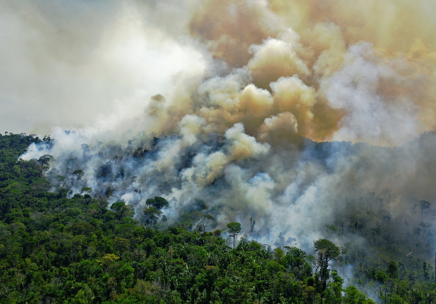  (Foto: CARL DE SOUZA / AFP)