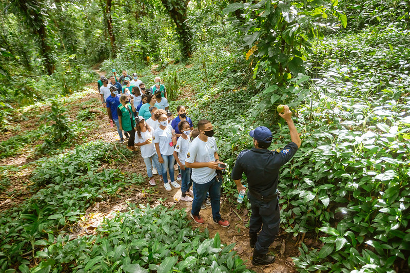 A data visa conscientizar as pessoas sobre o desperdcio deste recurso vital para vida e busca inspirao no folclore brasileiro trazem a personagem Iara %u201CRainha das guas%u201D (Divulgao)