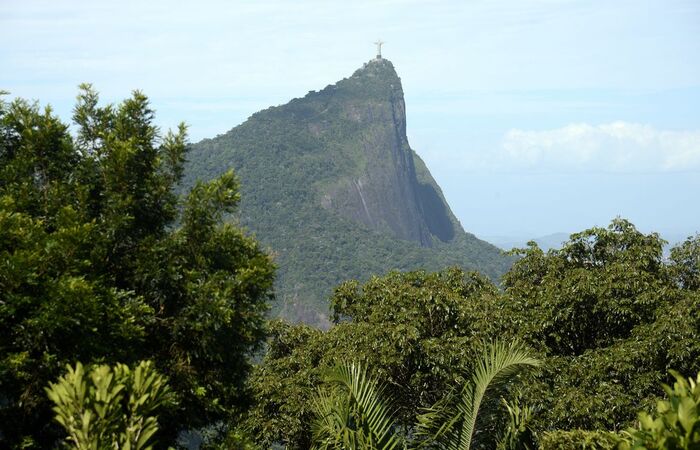 Jogador: ajude a proteger a floresta em “Save Amazônia