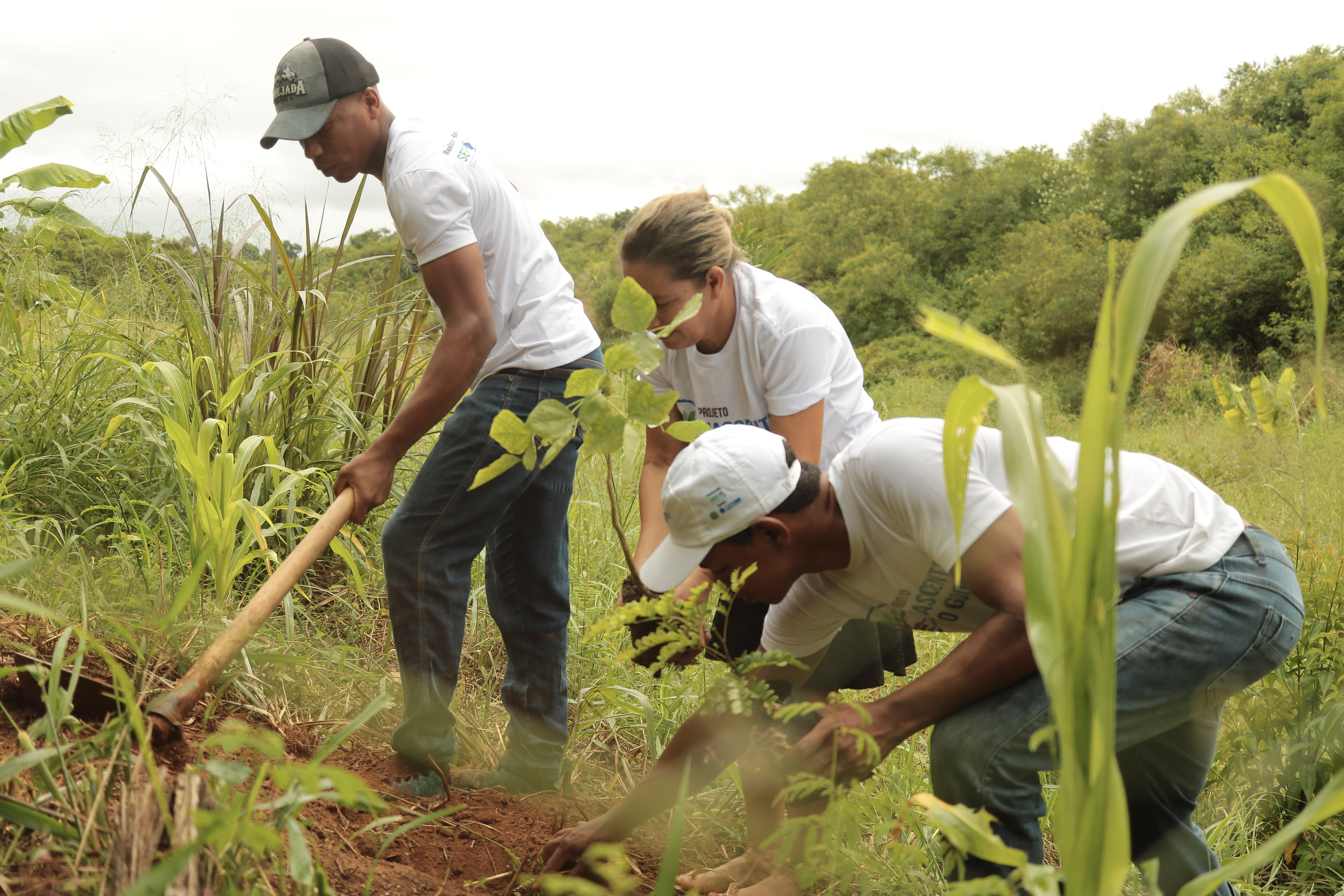 Projeto implanta viveiros de mudas de rvores nativas para reflorestamento de reas degradadas do Rio Goit, com apoio de estudantes capacitados em educao ambiental
 (Divulgao)