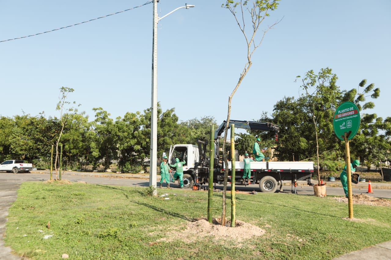 rvores esto sendo plantadas na Avenida Professor Jos dos Anjos (Prefeitura do Recife/Divulgao )