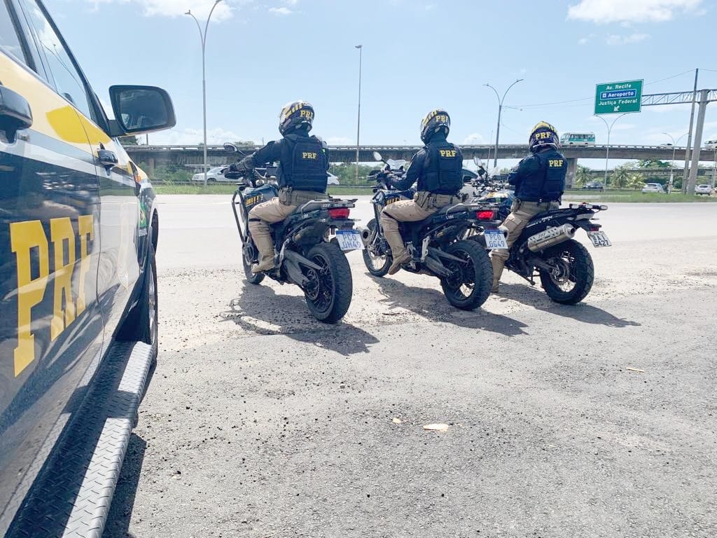 Operação da PRF recolhe 23 cavalos abandonados em rodovias do Recife e Zona  da Mata — Polícia Rodoviária Federal