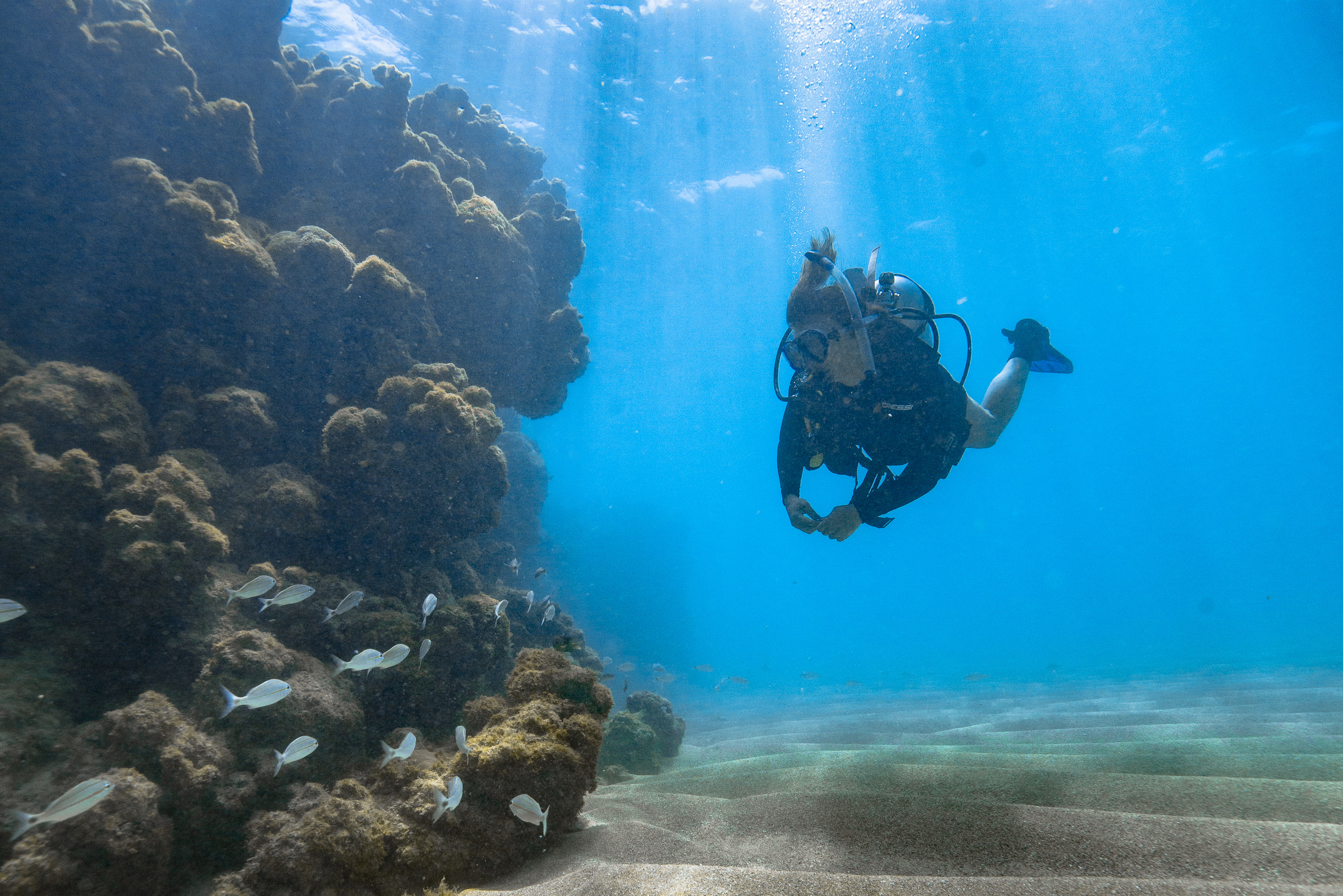 O mergulho nas piscinas naturais  uma das principais atraes do estado (Foto: Filipe Cadena/Fundao Grupo Boticrio)