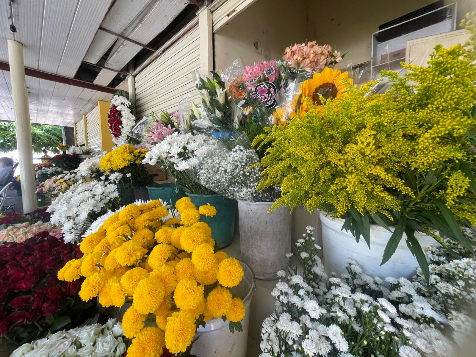 Dentre as tradies, uma das mais populares  levar flores como sinal de afeto. (Foto: Romulo Chico /Esp DP foto)