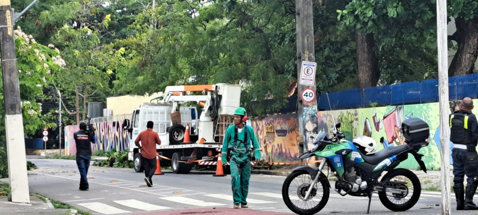 Rua foi interditada no Recife aps queda de rvore (Foto:Ana Paula Cmara/Cortesia)